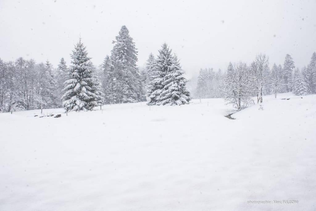 Chalet Charligustine - Gerardmer - 8P Екстериор снимка