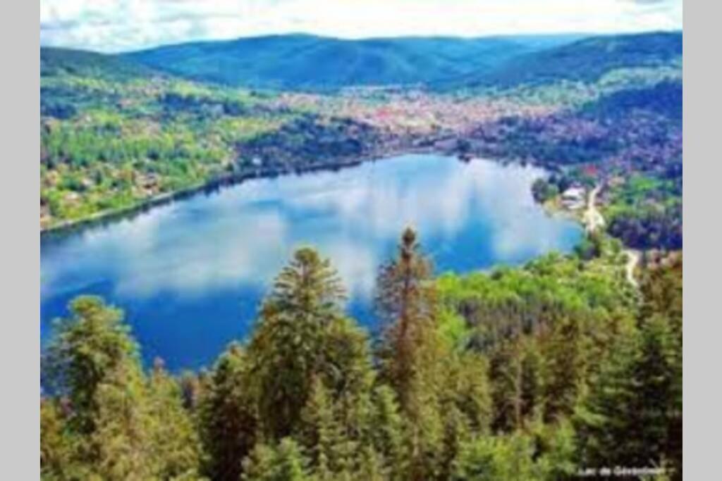 Chalet Charligustine - Gerardmer - 8P Екстериор снимка